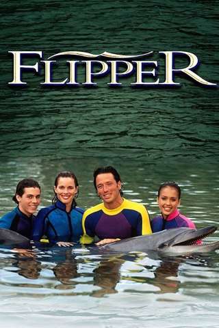 Locandina di Le nuove avventure di Flipper