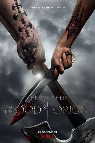 Locandina di The Witcher: Blood Origin