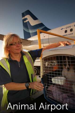 Locandina di Airport security: animali