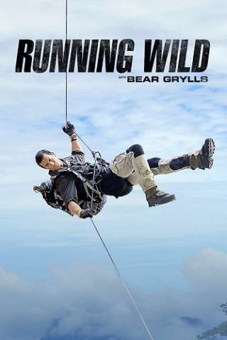 Locandina di Bear Grylls - Celebrity Edition