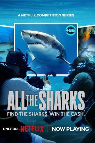 Locandina di All the Sharks - In cerca di squali
