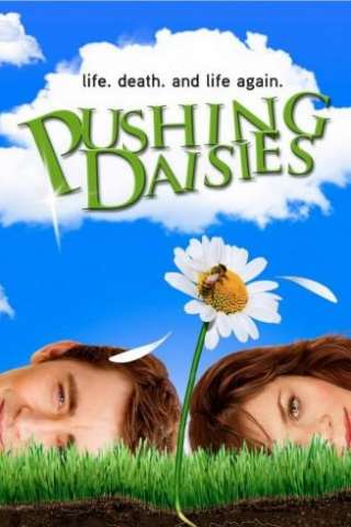 Locandina di Pushing Daisies