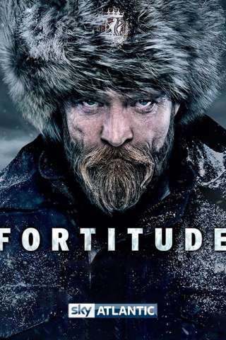 Locandina di Fortitude