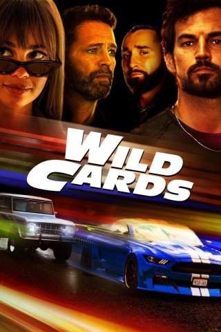 Locandina di Wild Cards
