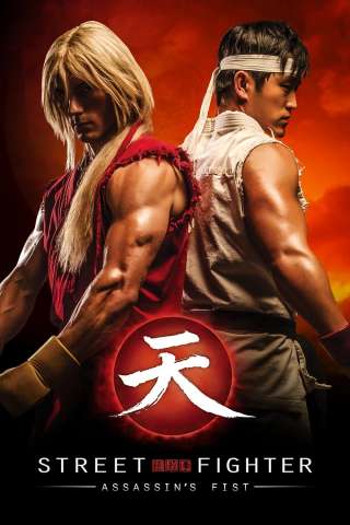 Locandina di Street Fighter: Assassin's Fist