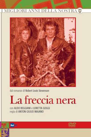 Locandina di La freccia nera