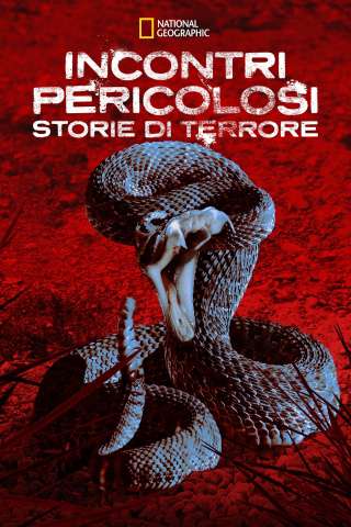 Locandina di Incontri Pericolosi: Storie di Terrore