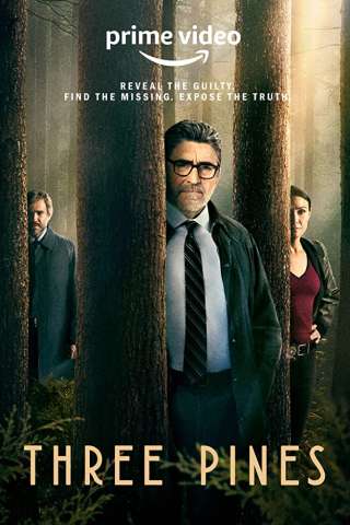 Locandina di Il Commissario Gamache - Misteri a Three Pines
