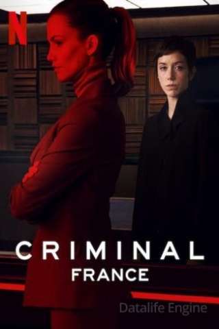 Locandina di Criminal: Francia