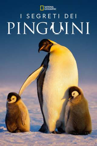 Locandina di I segreti dei pinguini