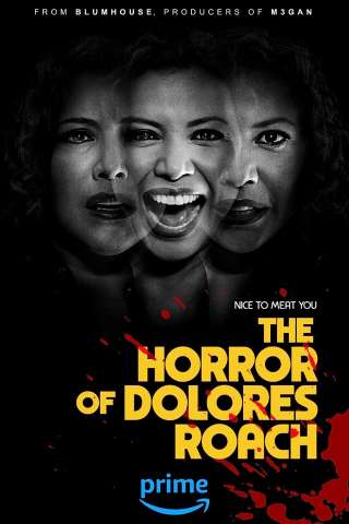 Locandina di Gli orrori di Dolores Roach