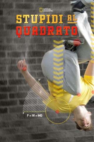 Locandina di Stupidi al quadrato