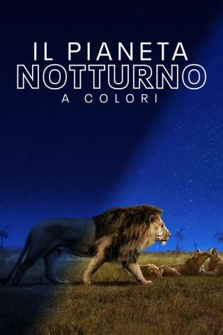 Locandina di Il pianeta notturno a colori