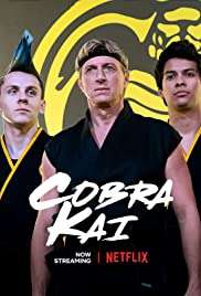 Locandina di Cobra Kai