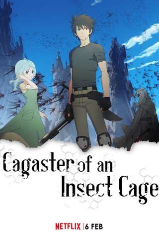 Locandina di Cagaster of an Insect Cage