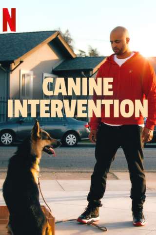 Locandina di Canine Intervention