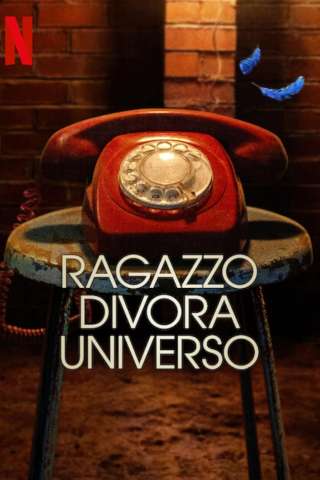 Locandina di Ragazzo divora universo