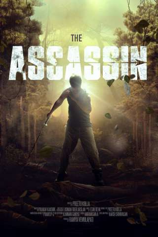 Locandina di The Assassin
