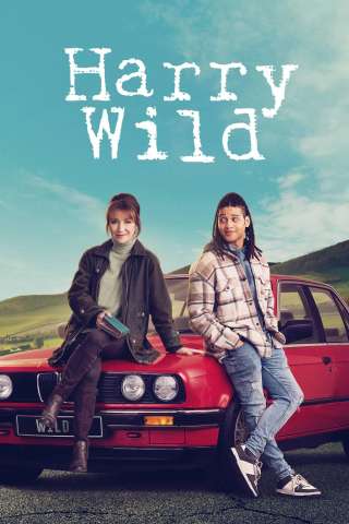 Locandina di Harry Wild - La signora del delitto