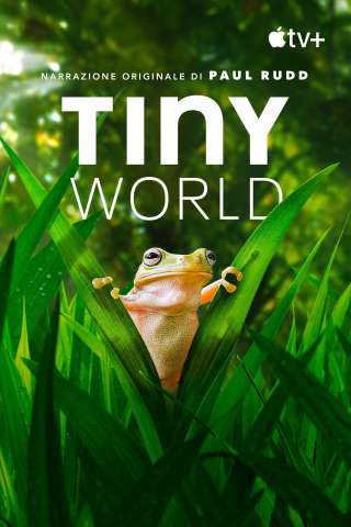 Locandina di Tiny World