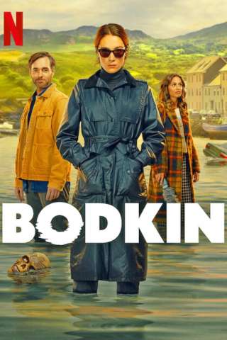 Locandina di Bodkin