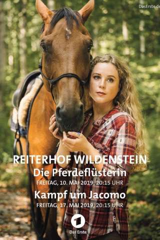 Locandina di I Wildenstein
