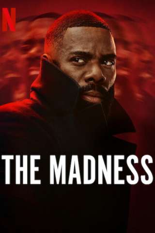 Locandina di The Madness