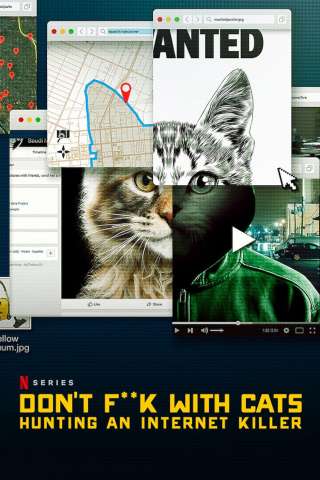 Locandina di Giù le mani dai gatti: caccia a un killer online