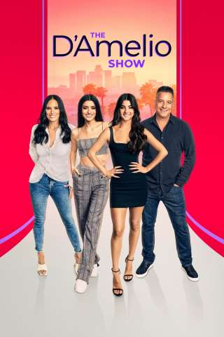 Locandina di The D'Amelio Show