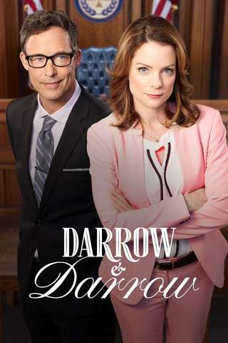 Locandina di Darrow & Darrow