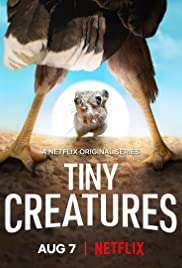 Locandina di Piccole Creature