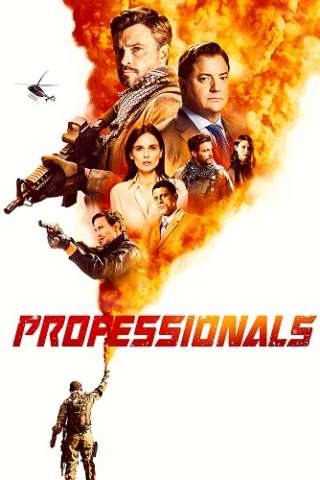 Locandina di Professionals