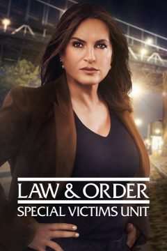 Locandina di Law and Order – Unità vittime speciali
