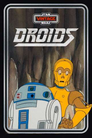 Locandina di Droids Adventures