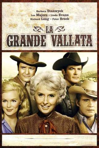 Locandina di La grande vallata