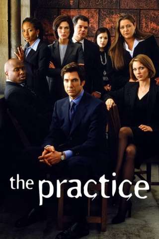 Locandina di The Practice - Professione avvocati