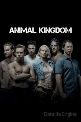 Locandina di Animal Kingdom