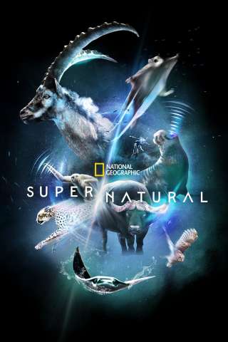 Locandina di Super/Natural
