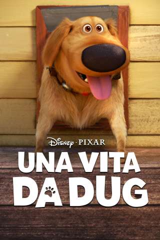 Locandina di Una vita da Dug