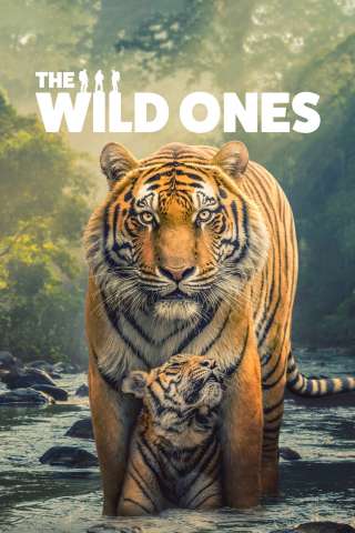 Locandina di The Wild Ones
