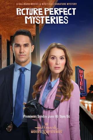 Locandina di Le indagini di Allie Adams